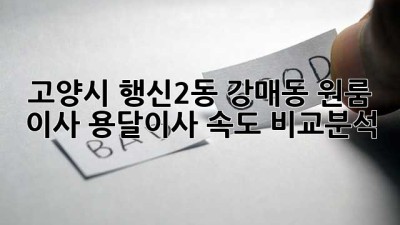 고양시 행신2동, 강매동 원룸 이사? 용달이사 속도 비교분석!